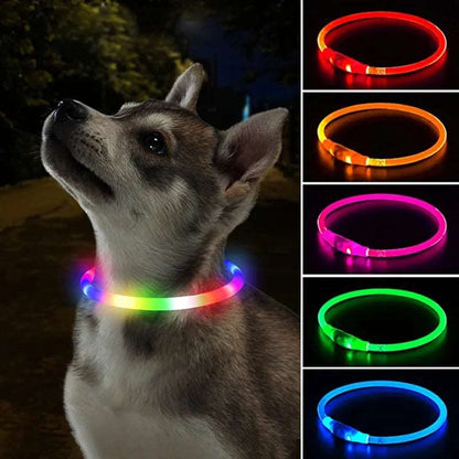 Luminous Glowing Collar